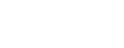 Coursier Lyon 5