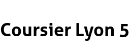Coursier Lyon 5